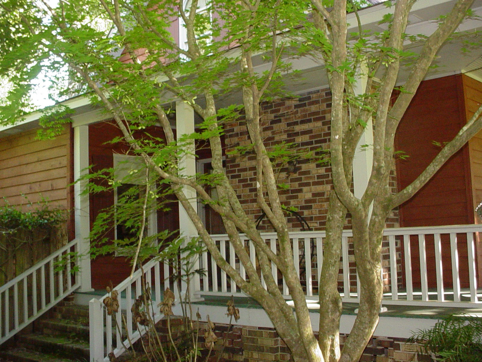 202 3rd Street Moncks Corner, SC 29461 - Photo 29 of 31 DSC03210