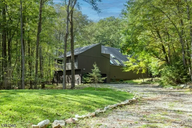 a view of a park with large trees