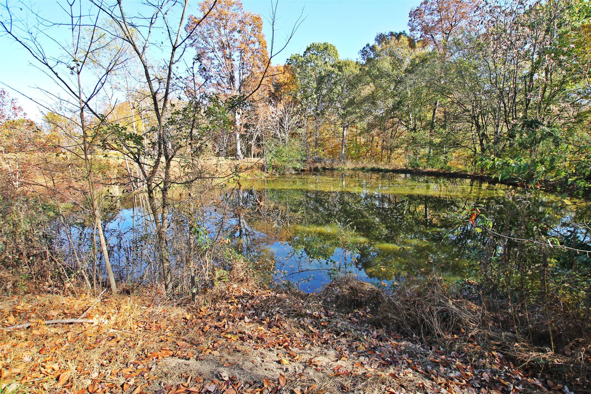 3912 Robert Pryor Road Springfield, TN 37172 - Photo 21 of 28 a view of a lake with a tree