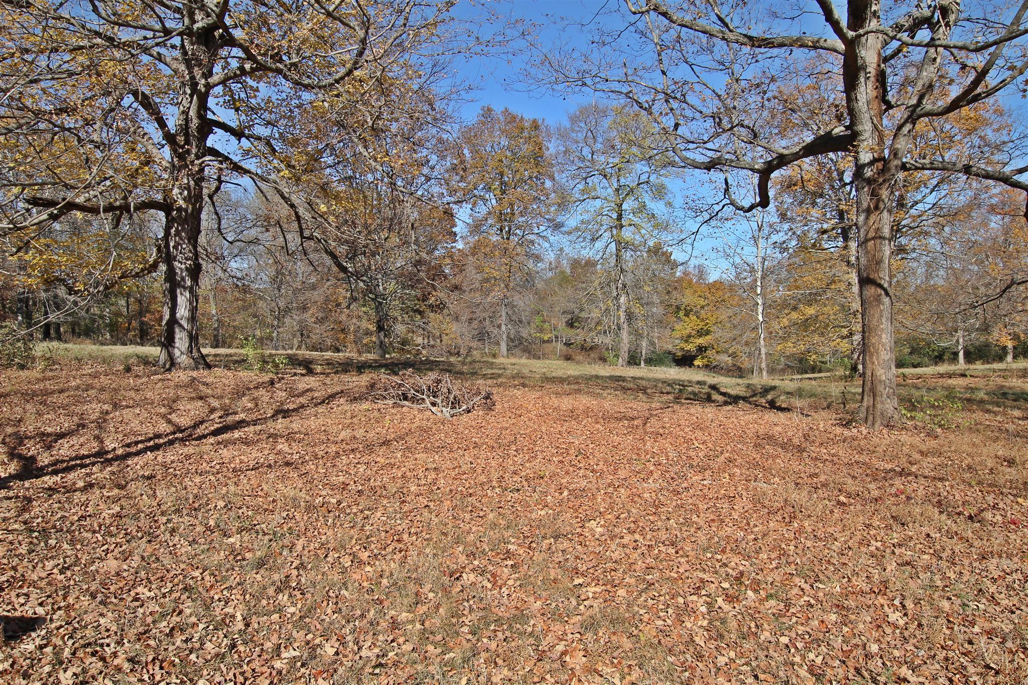 3912 Robert Pryor Road Springfield, TN 37172 - Photo 26 of 28 a view of empty yard