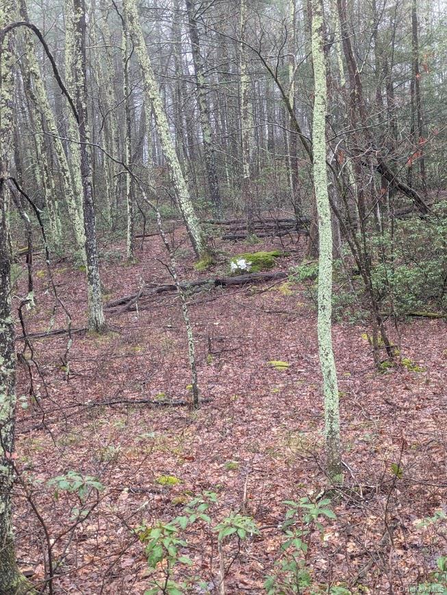 99 Otens Road Wawarsing, NY 12489 - Photo 3 of 6