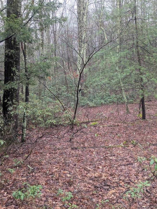 99 Otens Road Wawarsing, NY 12489 - Photo 4 of 6