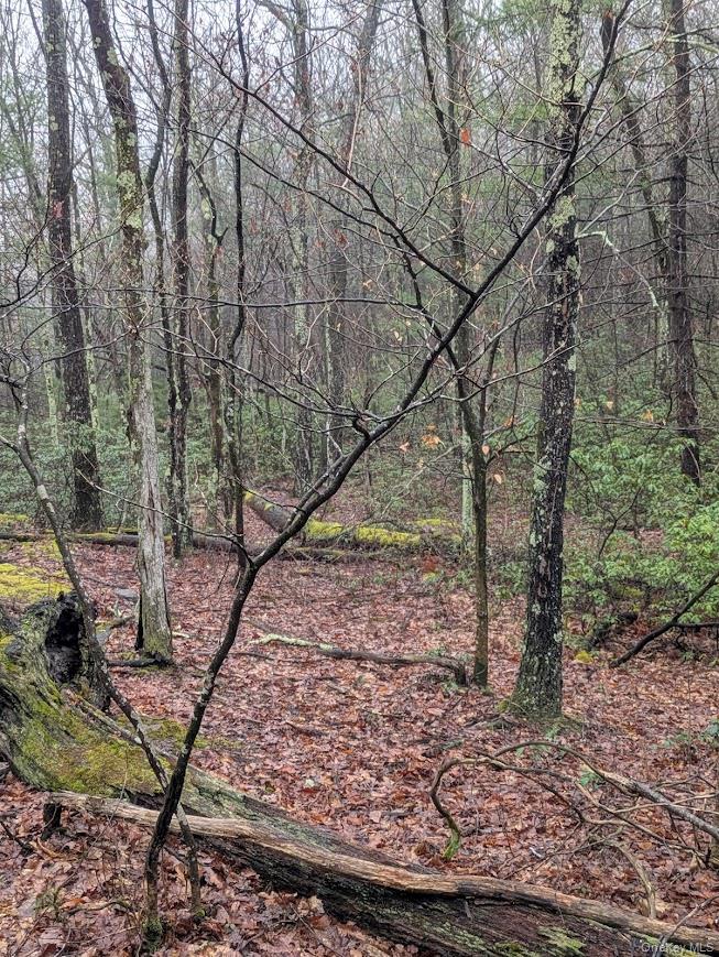 99 Otens Road Wawarsing, NY 12489 - Photo 5 of 6