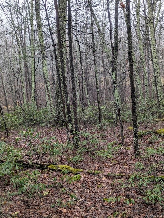 99 Otens Road Wawarsing, NY 12489 - Photo 6 of 6