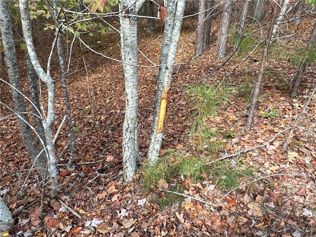 1806 Browning Road Rockmart, GA 30153 - Photo 11 of 89