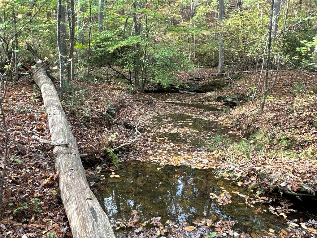 1806 Browning Road Rockmart, GA 30153 - Photo 13 of 89