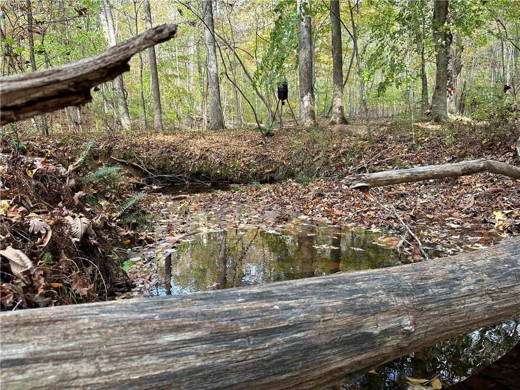 1806 Browning Road Rockmart, GA 30153 - Photo 14 of 89