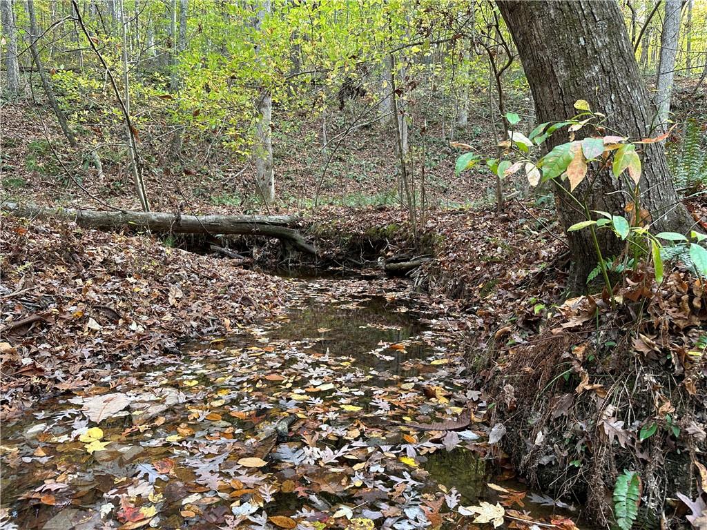 1806 Browning Road Rockmart, GA 30153 - Photo 15 of 89