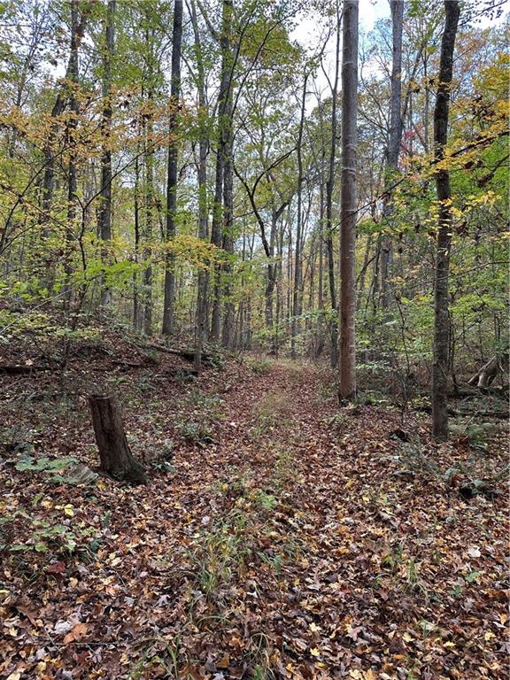 1806 Browning Road Rockmart, GA 30153 - Photo 16 of 89 a view of a yard with plants and trees