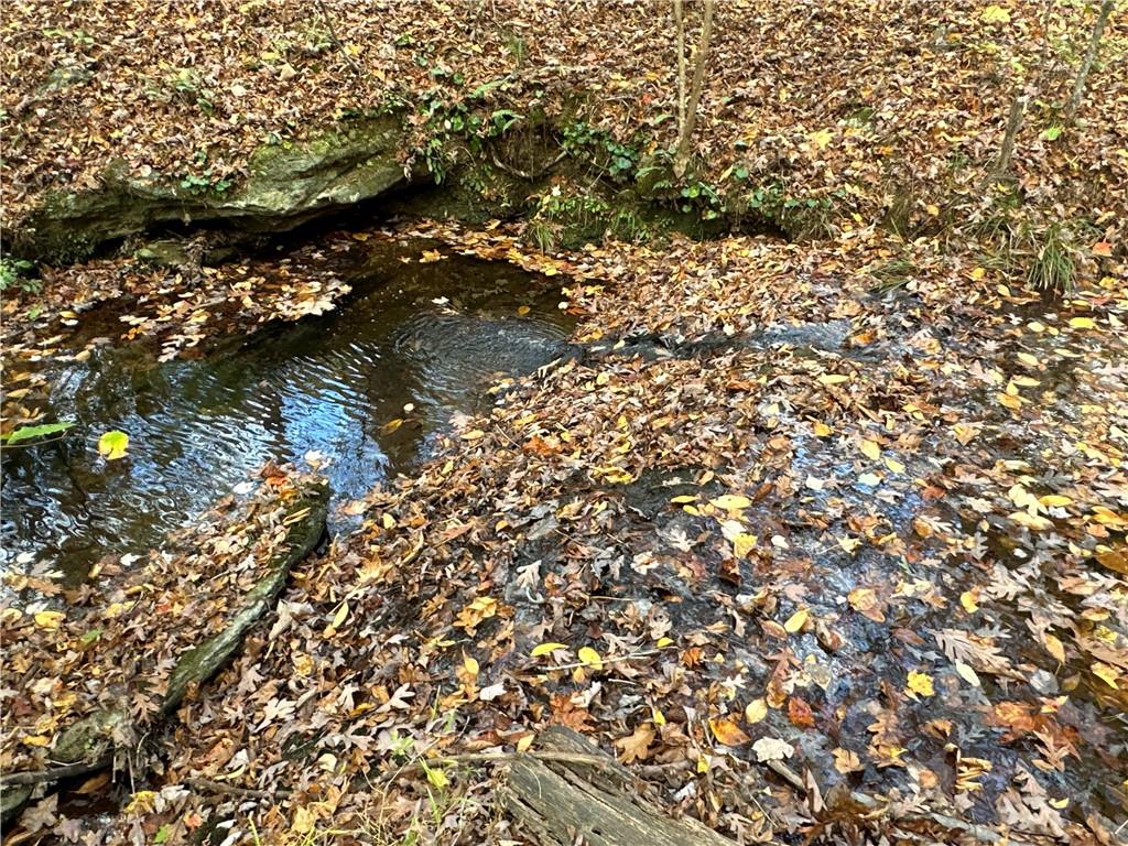 1806 Browning Road Rockmart, GA 30153 - Photo 17 of 89