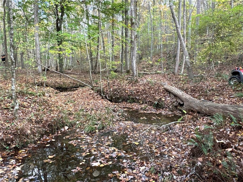 1806 Browning Road Rockmart, GA 30153 - Photo 18 of 89