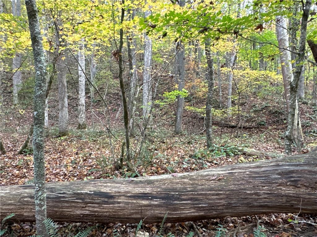 1806 Browning Road Rockmart, GA 30153 - Photo 19 of 89 a backyard of a house with lots of green space