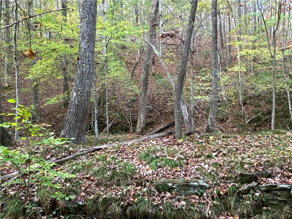 1806 Browning Road Rockmart, GA 30153 - Photo 20 of 89 a view of a forest with trees