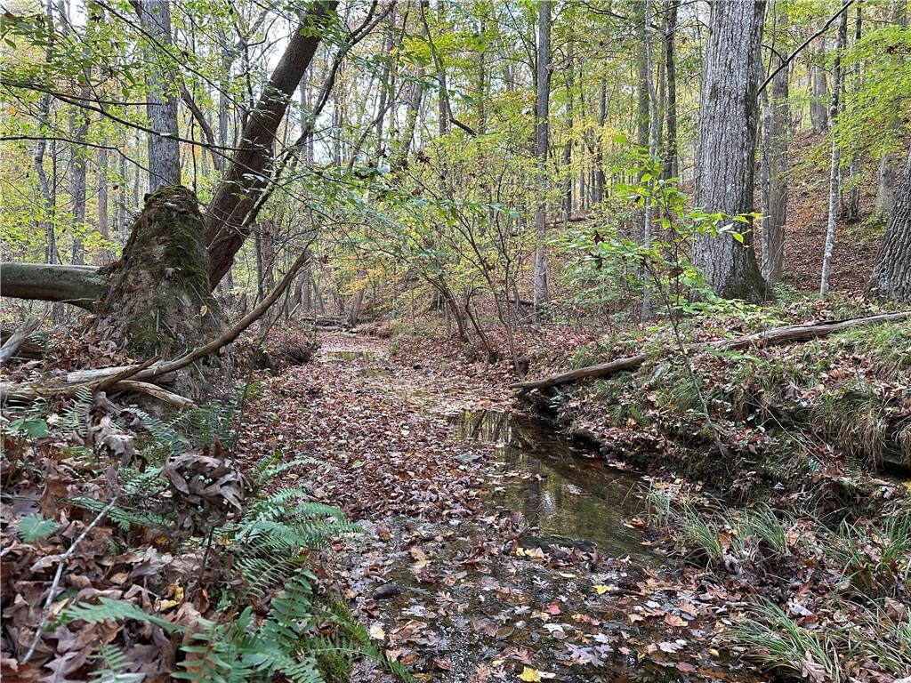 1806 Browning Road Rockmart, GA 30153 - Photo 21 of 89