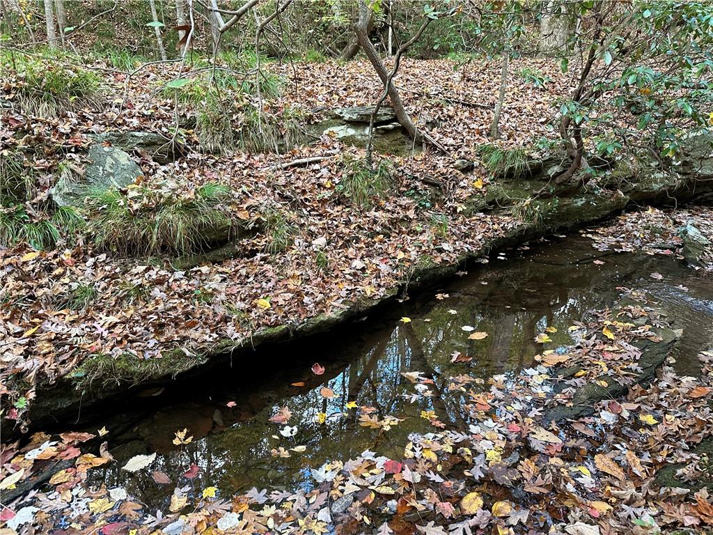 1806 Browning Road Rockmart, GA 30153 - Photo 22 of 89