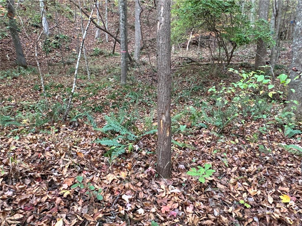 1806 Browning Road Rockmart, GA 30153 - Photo 24 of 89