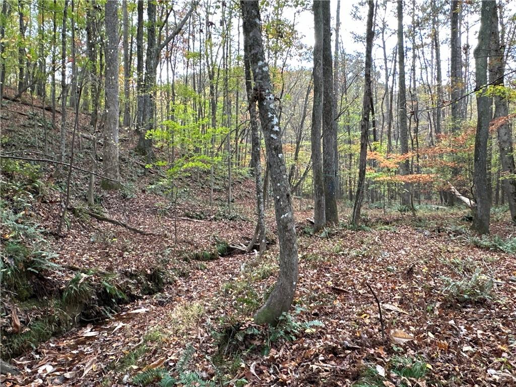 1806 Browning Road Rockmart, GA 30153 - Photo 25 of 89