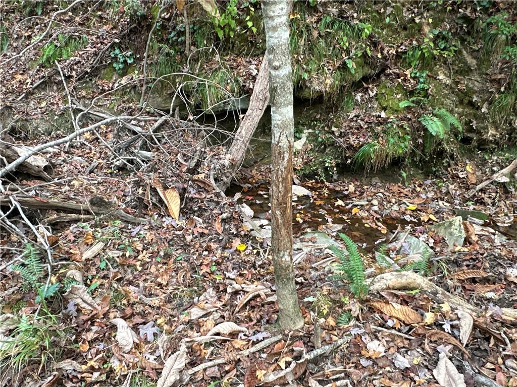 1806 Browning Road Rockmart, GA 30153 - Photo 26 of 89