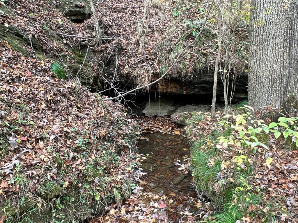 1806 Browning Road Rockmart, GA 30153 - Photo 28 of 89 a backyard of a house with lots of green space
