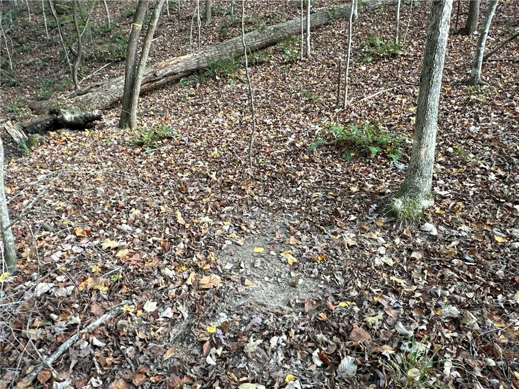 1806 Browning Road Rockmart, GA 30153 - Photo 29 of 89