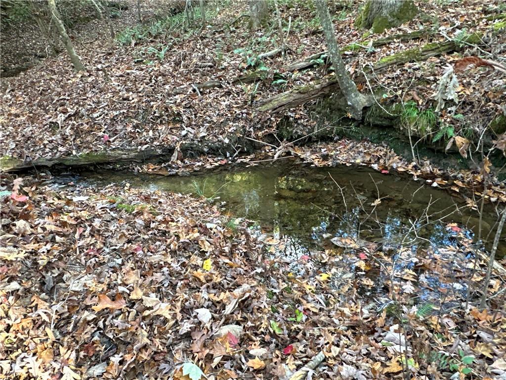 1806 Browning Road Rockmart, GA 30153 - Photo 30 of 89