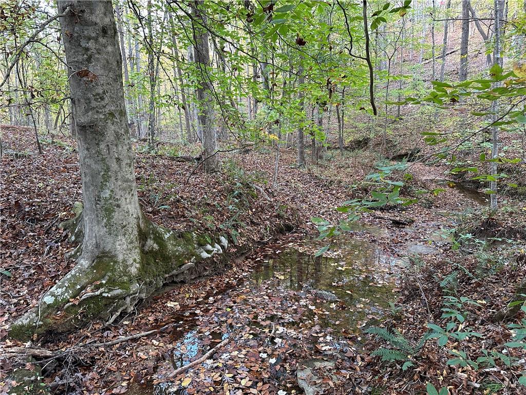 1806 Browning Road Rockmart, GA 30153 - Photo 31 of 89 a view of a forest with trees