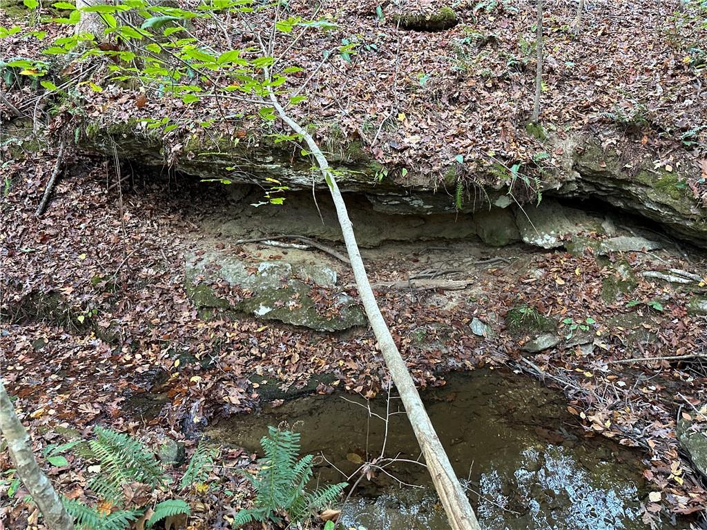 1806 Browning Road Rockmart, GA 30153 - Photo 32 of 89