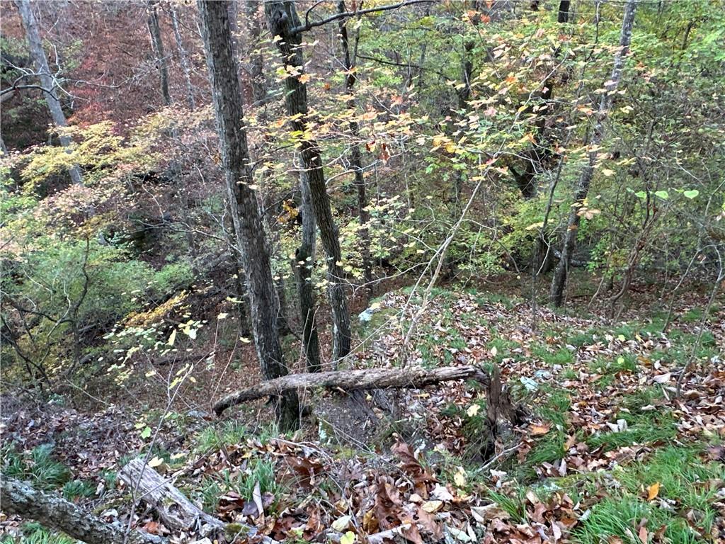 1806 Browning Road Rockmart, GA 30153 - Photo 33 of 89 a view of a forest with trees