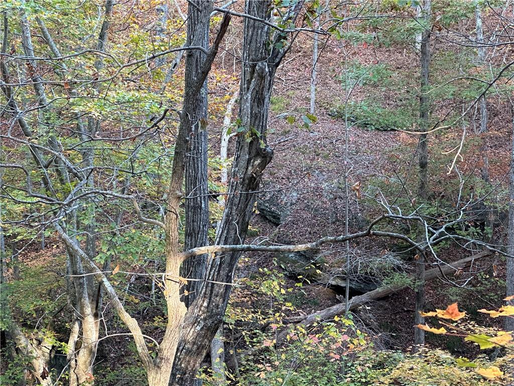 1806 Browning Road Rockmart, GA 30153 - Photo 34 of 89