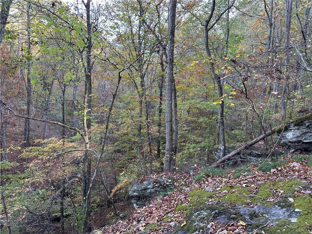 1806 Browning Road Rockmart, GA 30153 - Photo 36 of 89