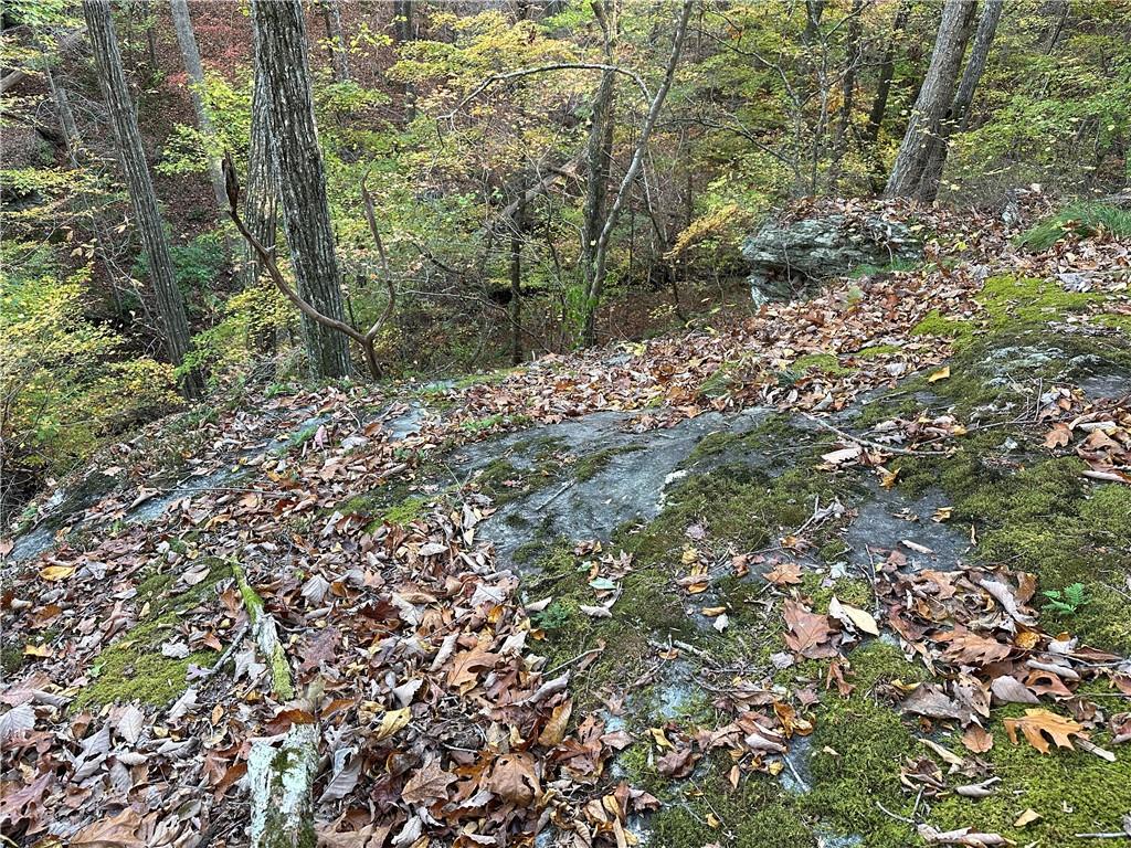1806 Browning Road Rockmart, GA 30153 - Photo 38 of 89 a view of a forest with trees