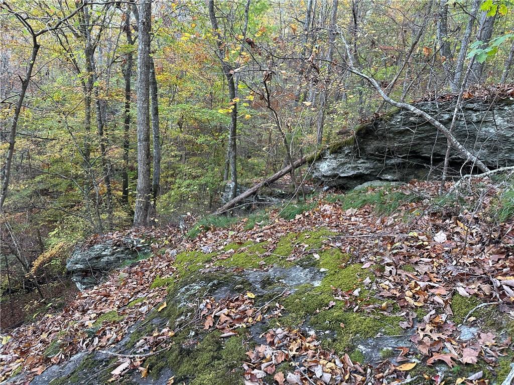 1806 Browning Road Rockmart, GA 30153 - Photo 39 of 89 a view of a forest that has large trees