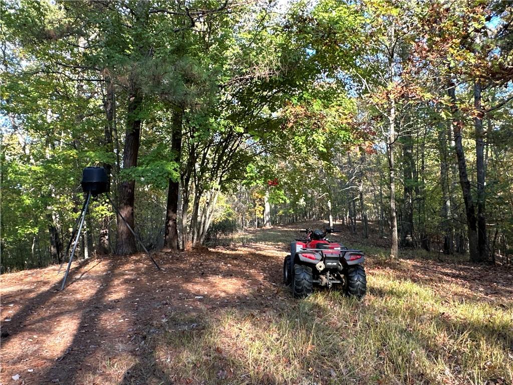1806 Browning Road Rockmart, GA 30153 - Photo 40 of 89