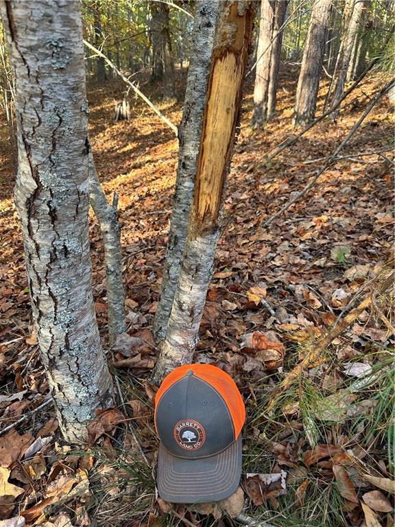 1806 Browning Road Rockmart, GA 30153 - Photo 4 of 89