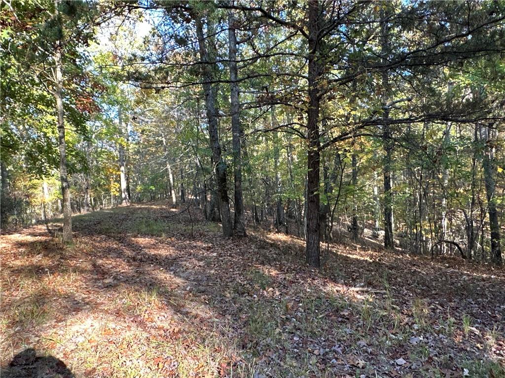 1806 Browning Road Rockmart, GA 30153 - Photo 42 of 89 a view of outdoor space and trees