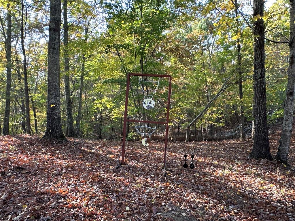 1806 Browning Road Rockmart, GA 30153 - Photo 43 of 89