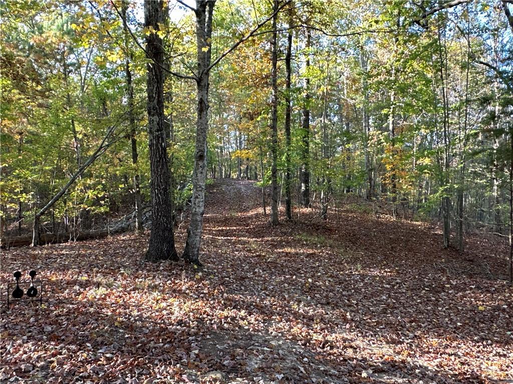 1806 Browning Road Rockmart, GA 30153 - Photo 44 of 89 a view of a forest with trees in the background