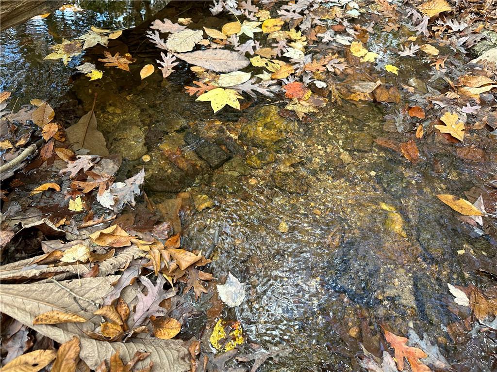 1806 Browning Road Rockmart, GA 30153 - Photo 5 of 89 a view of a tree