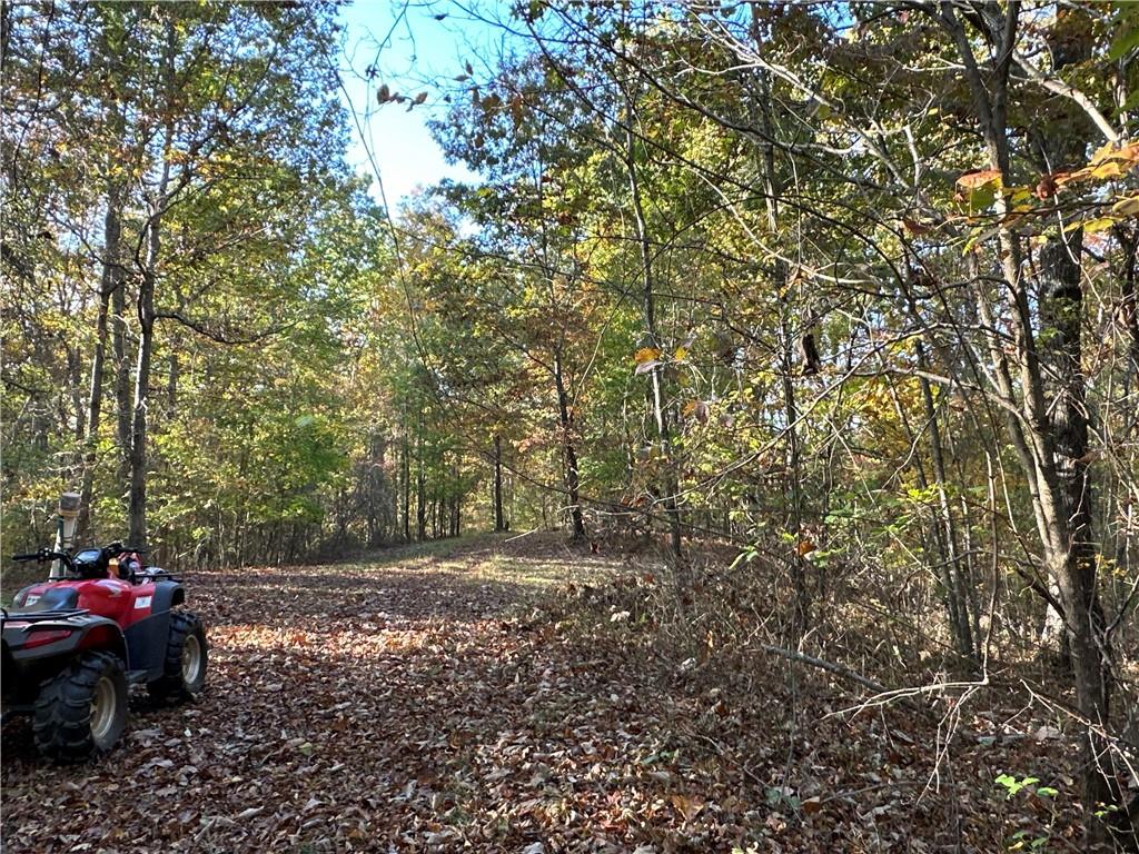 1806 Browning Road Rockmart, GA 30153 - Photo 60 of 89 a view of a yard with a car parked beside of it