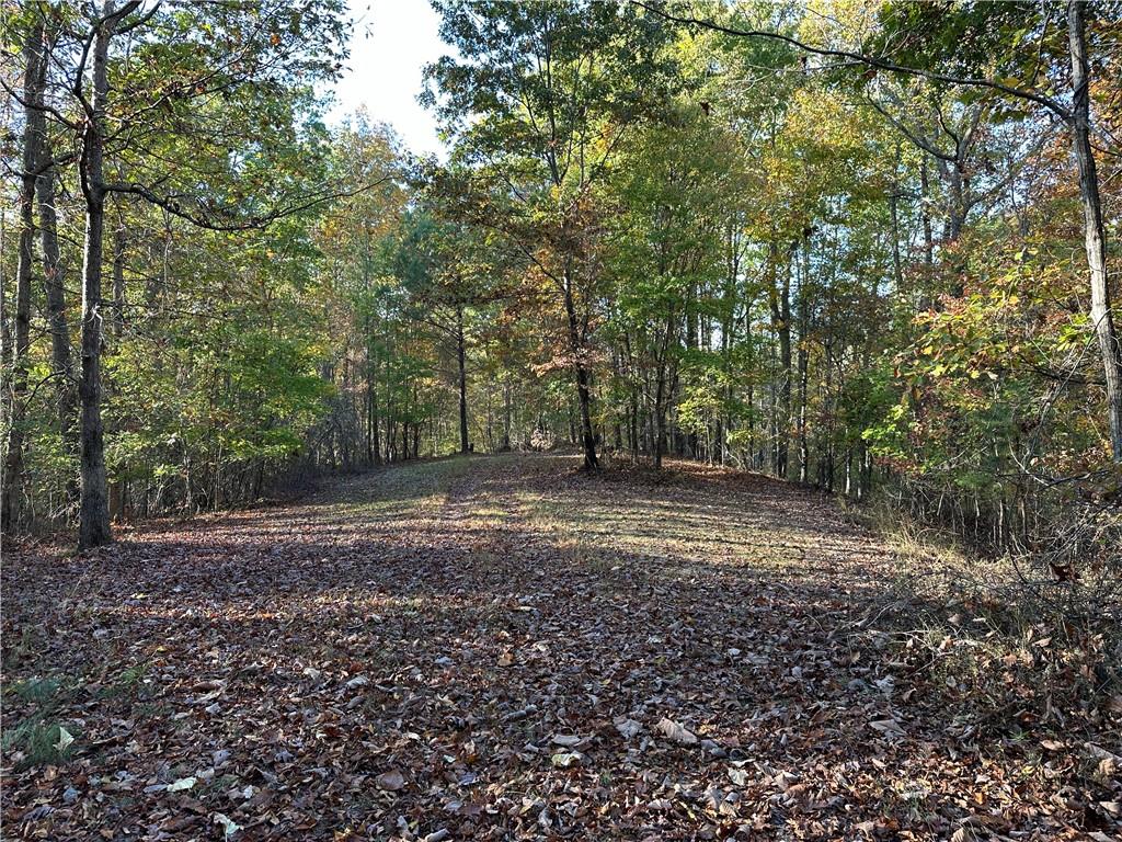 1806 Browning Road Rockmart, GA 30153 - Photo 61 of 89 a view of a yard with large trees