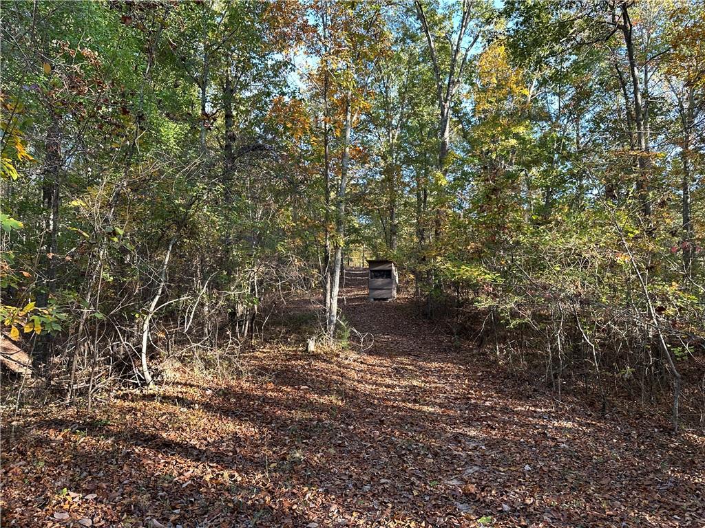 1806 Browning Road Rockmart, GA 30153 - Photo 62 of 89 a view of a forest with trees