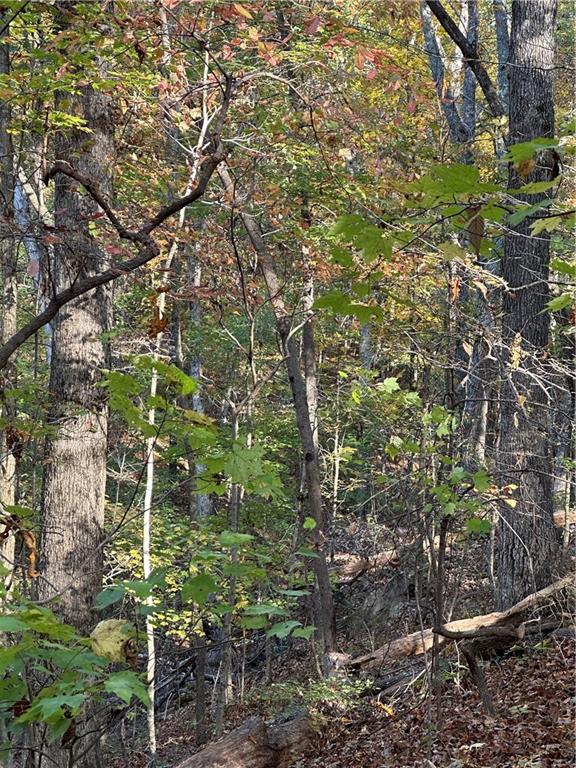 1806 Browning Road Rockmart, GA 30153 - Photo 63 of 89 a backyard of a house with lots of plants and large trees