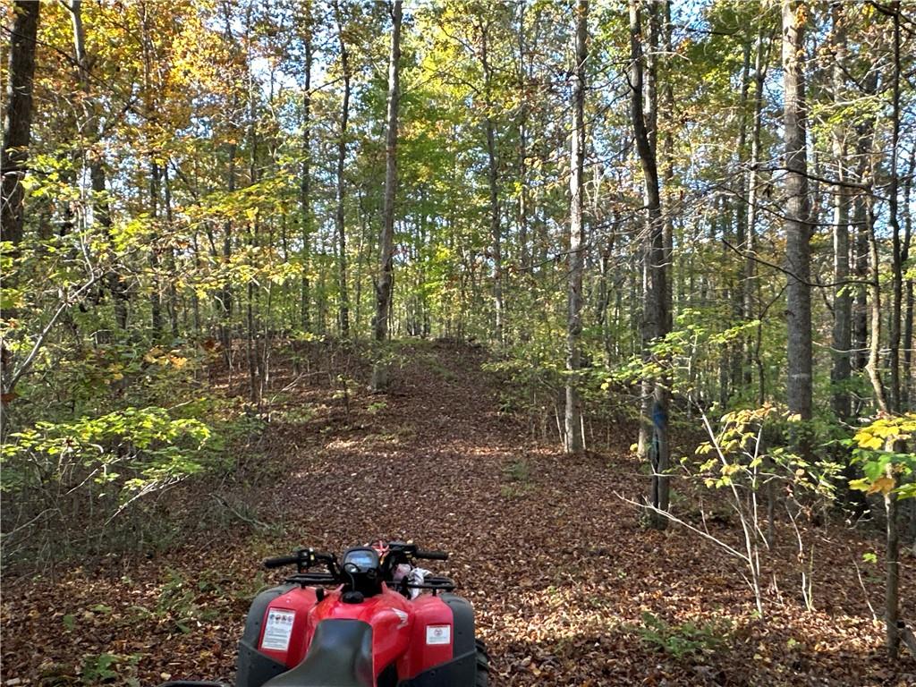 1806 Browning Road Rockmart, GA 30153 - Photo 64 of 89 a view of a yard with plants and brick wall