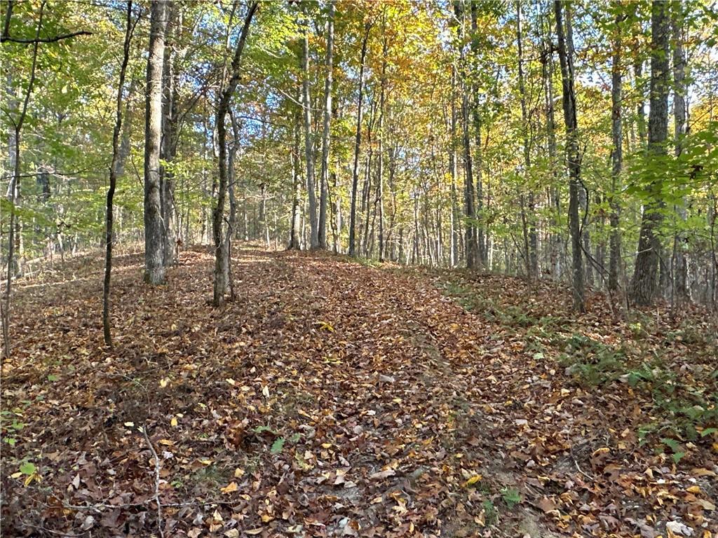 1806 Browning Road Rockmart, GA 30153 - Photo 65 of 89