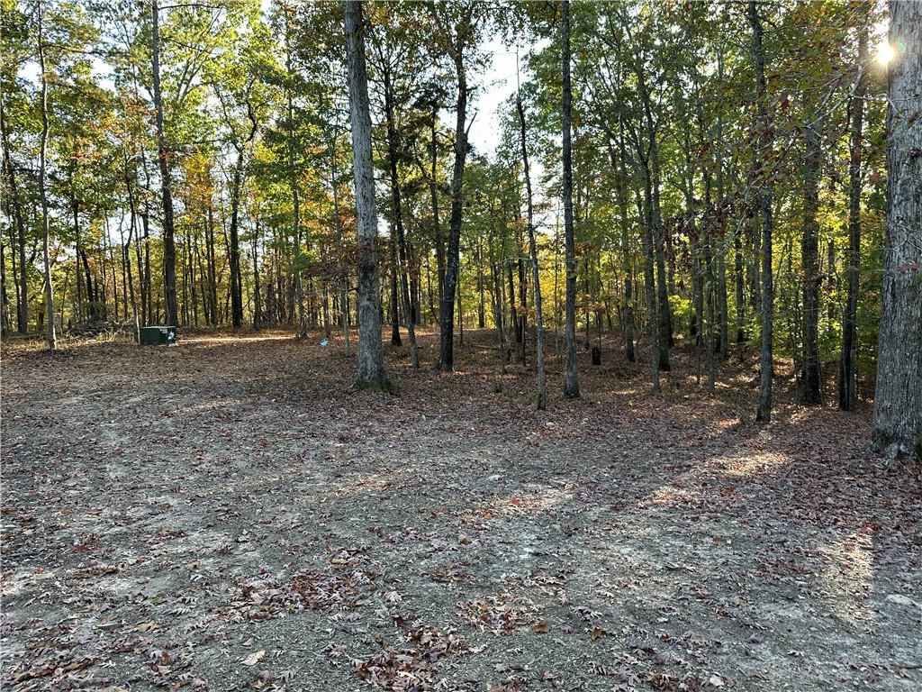 1806 Browning Road Rockmart, GA 30153 - Photo 67 of 89 a backyard of a house with lots of green space