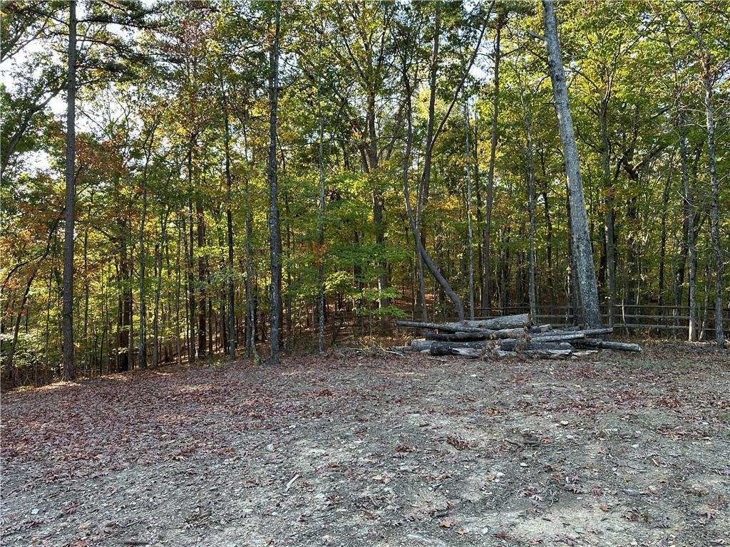 1806 Browning Road Rockmart, GA 30153 - Photo 68 of 89 a backyard of a house with lots of green space