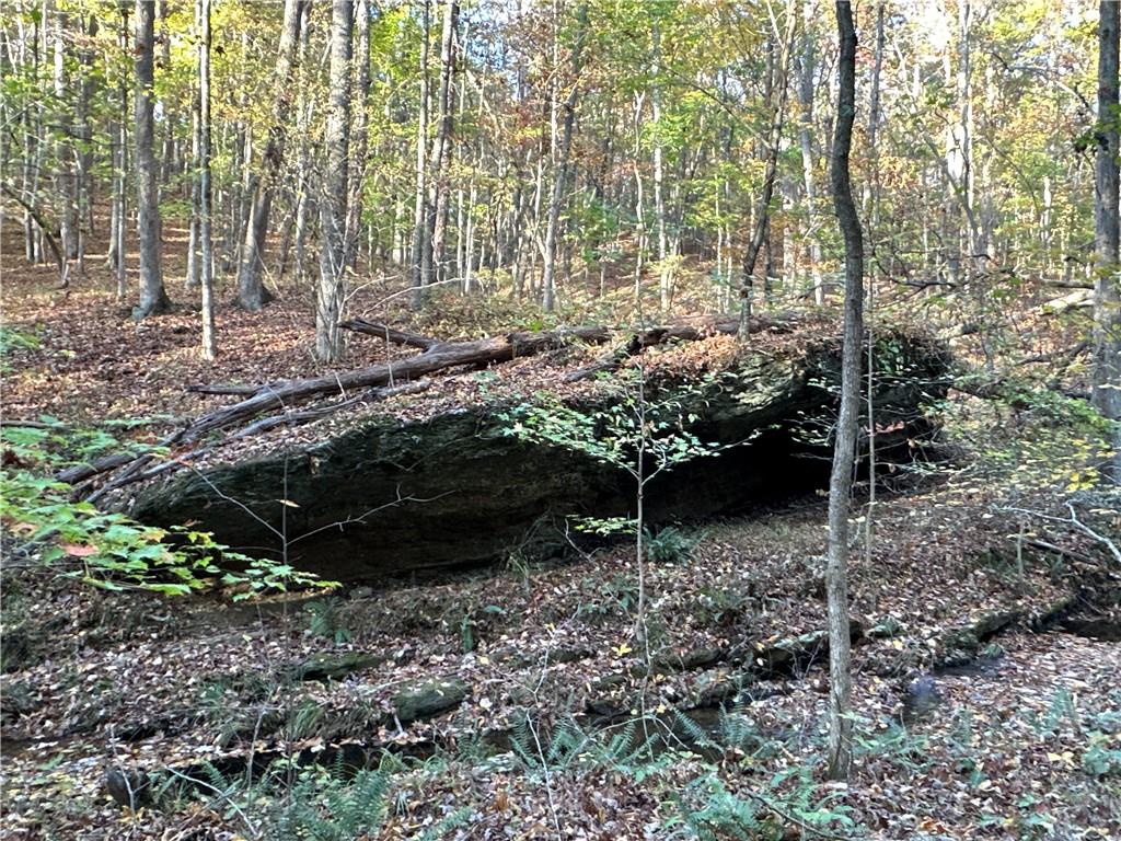 1806 Browning Road Rockmart, GA 30153 - Photo 70 of 89 a view of a backyard