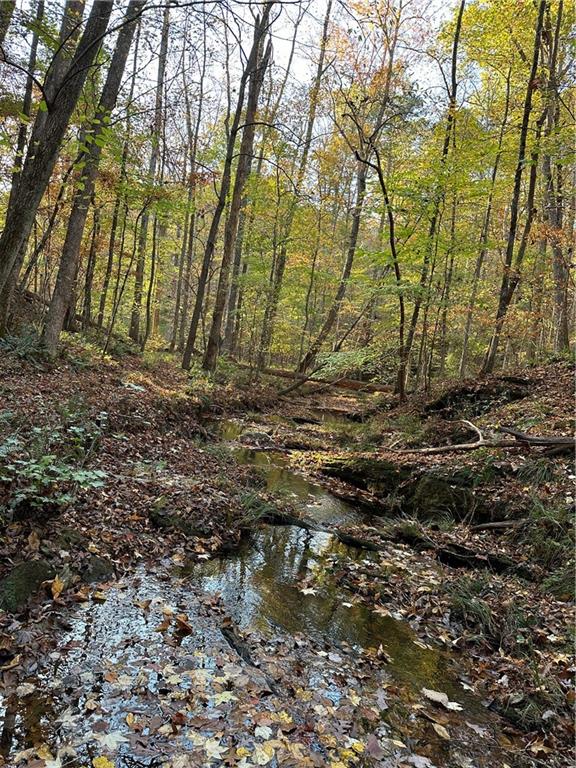 1806 Browning Road Rockmart, GA 30153 - Photo 71 of 89 a view of a yard with plants and trees