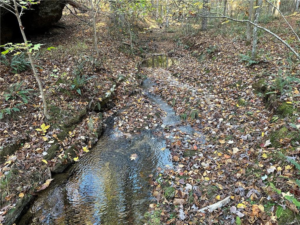 1806 Browning Road Rockmart, GA 30153 - Photo 72 of 89