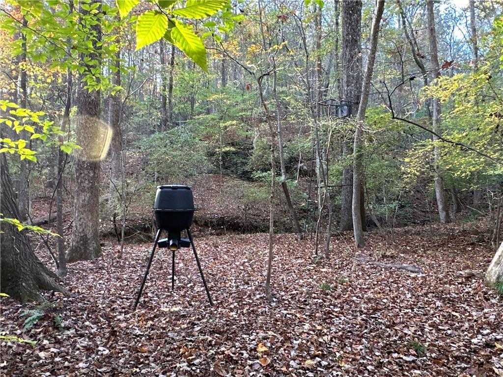1806 Browning Road Rockmart, GA 30153 - Photo 73 of 89 a garden view with a seating space